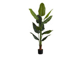 59" Tall, Artificial Plant, Strelitzia Tree, Indoor, Faux, Fake, Floor, Greenery, Potted, Real Touch, Decorative - Green / Black - Furniture Home Direct