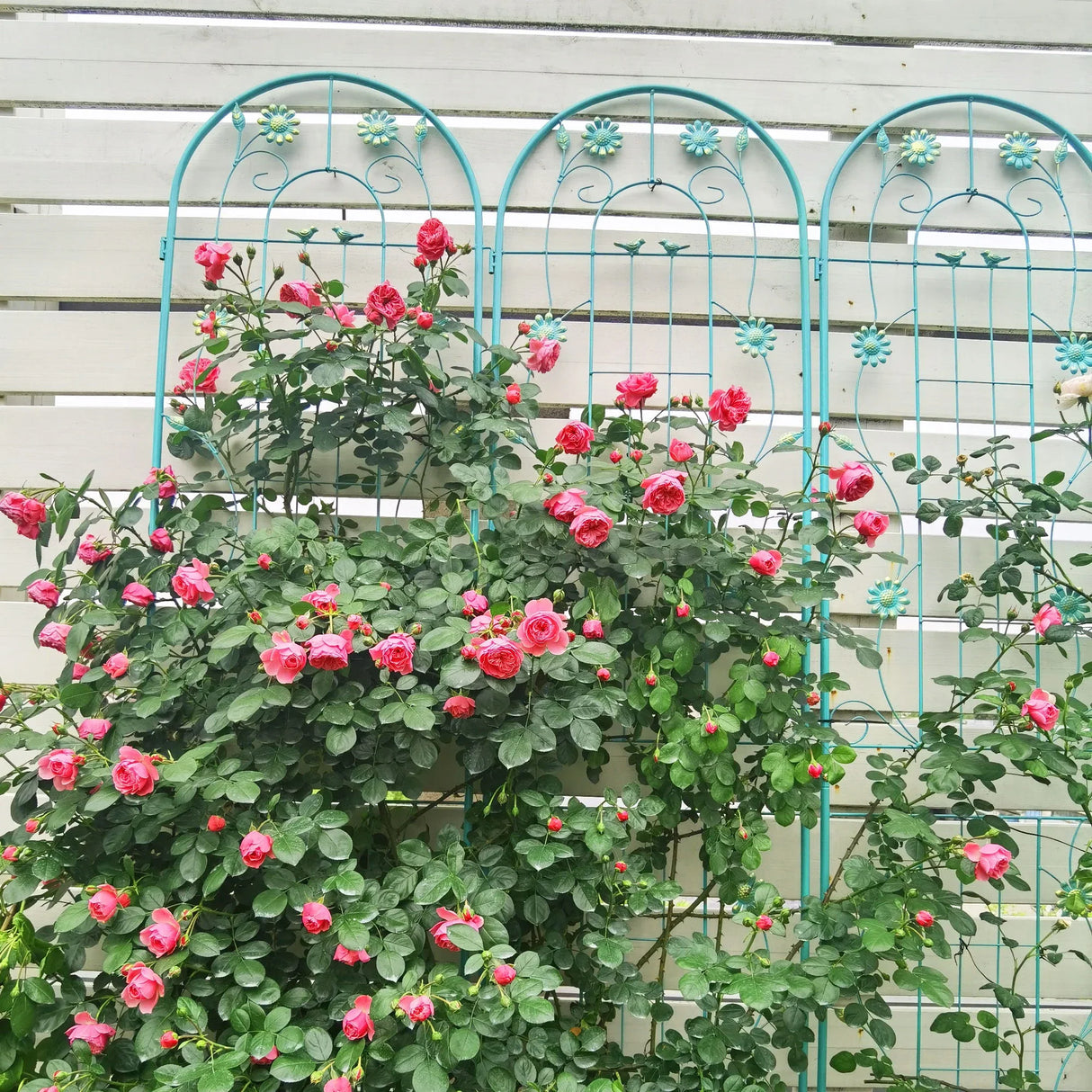Metal Garden Trellis Rustproof Trellis For Climbing Plant Outdoor Flower Support - Furniture Home Direct