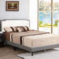 Deb - Bed (All in One Box) - Two Tone - Furniture Home Direct