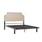 Bed Traditional Upholstered Metal - Furniture Home Direct