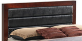 Transitional Modern Design Bed - Furniture Home Direct