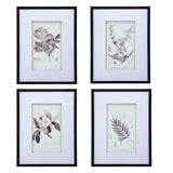 Botanical Wall Art Prints, Home Decor For Living Room Dining Room, Bedroom, Hallway (Set of 4) - White / Black - Furniture Home Direct