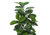 52" Tall, Artificial Plant, Rubber Tree, Indoor, Faux, Fake, Floor, Greenery, Potted, Real Touch, Decorative - Green / Black - Furniture Home Direct