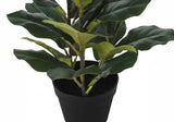 32" Tall, Artificial Plant, Fiddle Tree, Indoor, Faux, Fake, Floor, Greenery, Potted, Real Touch, Decorative - Green / Black - Furniture Home Direct