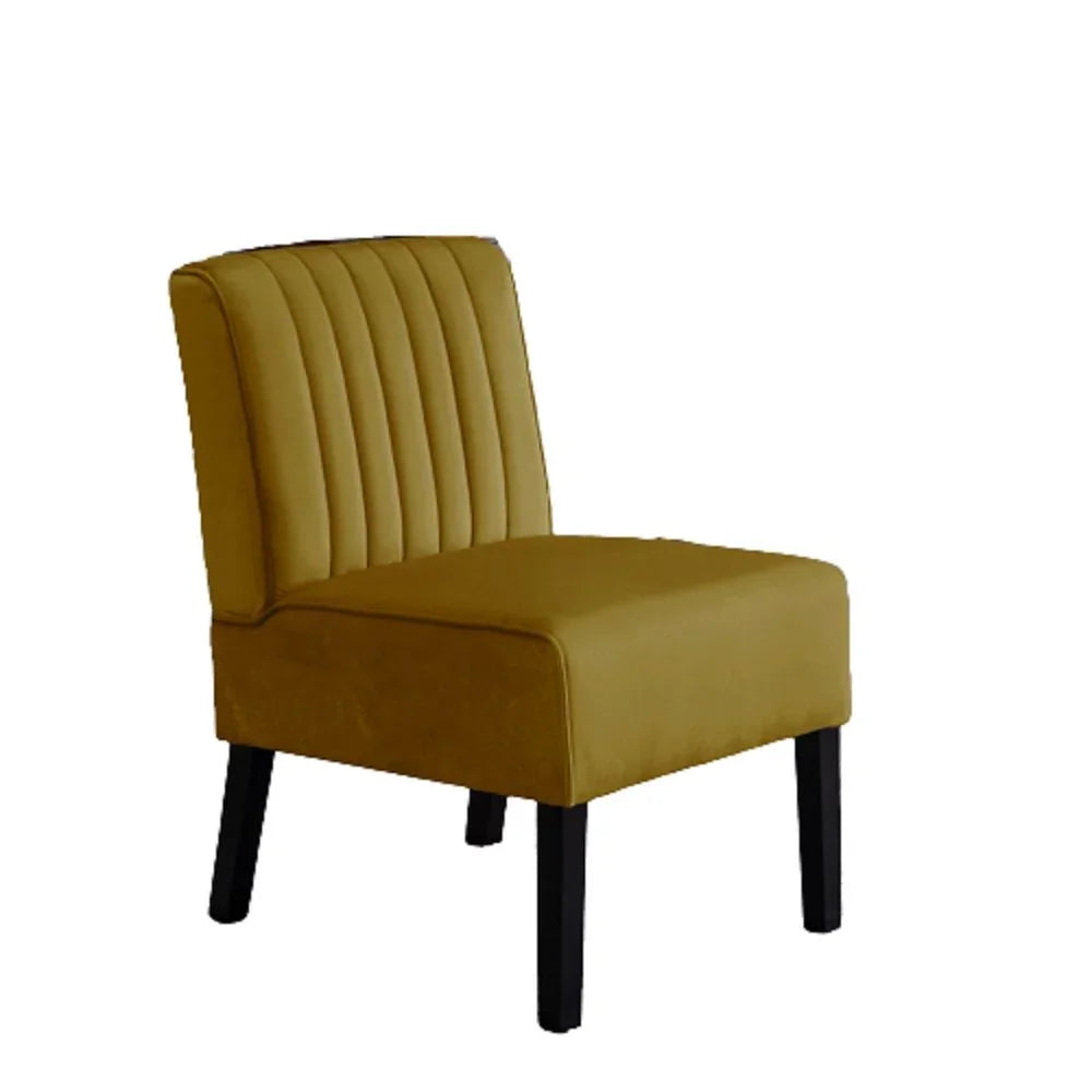 Reese - Mid-Century Modern Accent Chairs With Minimalist Design (Set of 2) - Furniture Home Direct