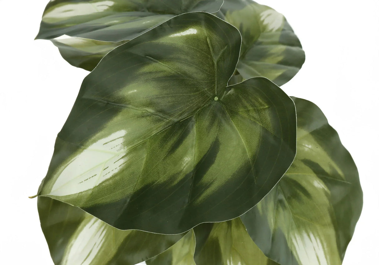 13" Tall, Artificial Plant, Monstera Calthea, Indoor, Faux, Fake, Table, Greenery, Potted, Decorative (Set of 2) - Green / Black - Furniture Home Direct