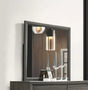 Valdemar - Weathered Mirror - Gray - Furniture Home Direct