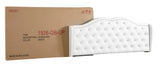 Upholstered Velvet Bed Transitional - Furniture Home Direct
