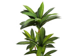 51" Tall, Artificial Plant, Dracaena Tree, Indoor, Faux, Fake, Floor, Greenery, Potted, Real Touch, Decorative - Green / Black - Furniture Home Direct