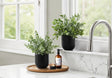 11" Tall, Artificial Plant, Eucalyptus Grass, Indoor, Faux, Fake, Table, Greenery, Potted, Decorative (Set of 2) - Green / Black - Furniture Home Direct