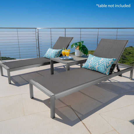 Chaise Lounge Set Of 2 - Gray - Furniture Home Direct