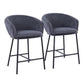 Ashland - Contemporary Counter Stool (Set of 2) - Furniture Home Direct