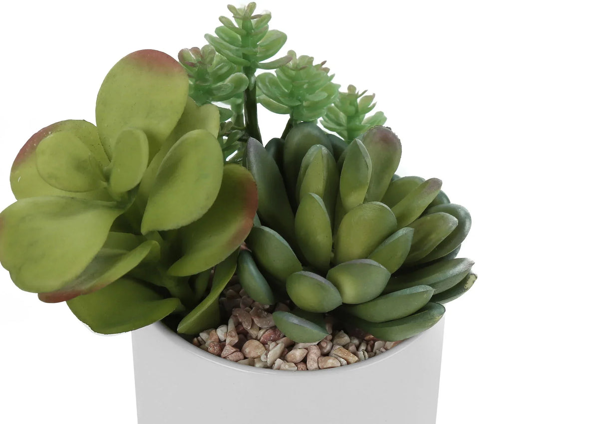 7" Faux Decorative Succulent (Set of 2) - Green / White - Furniture Home Direct