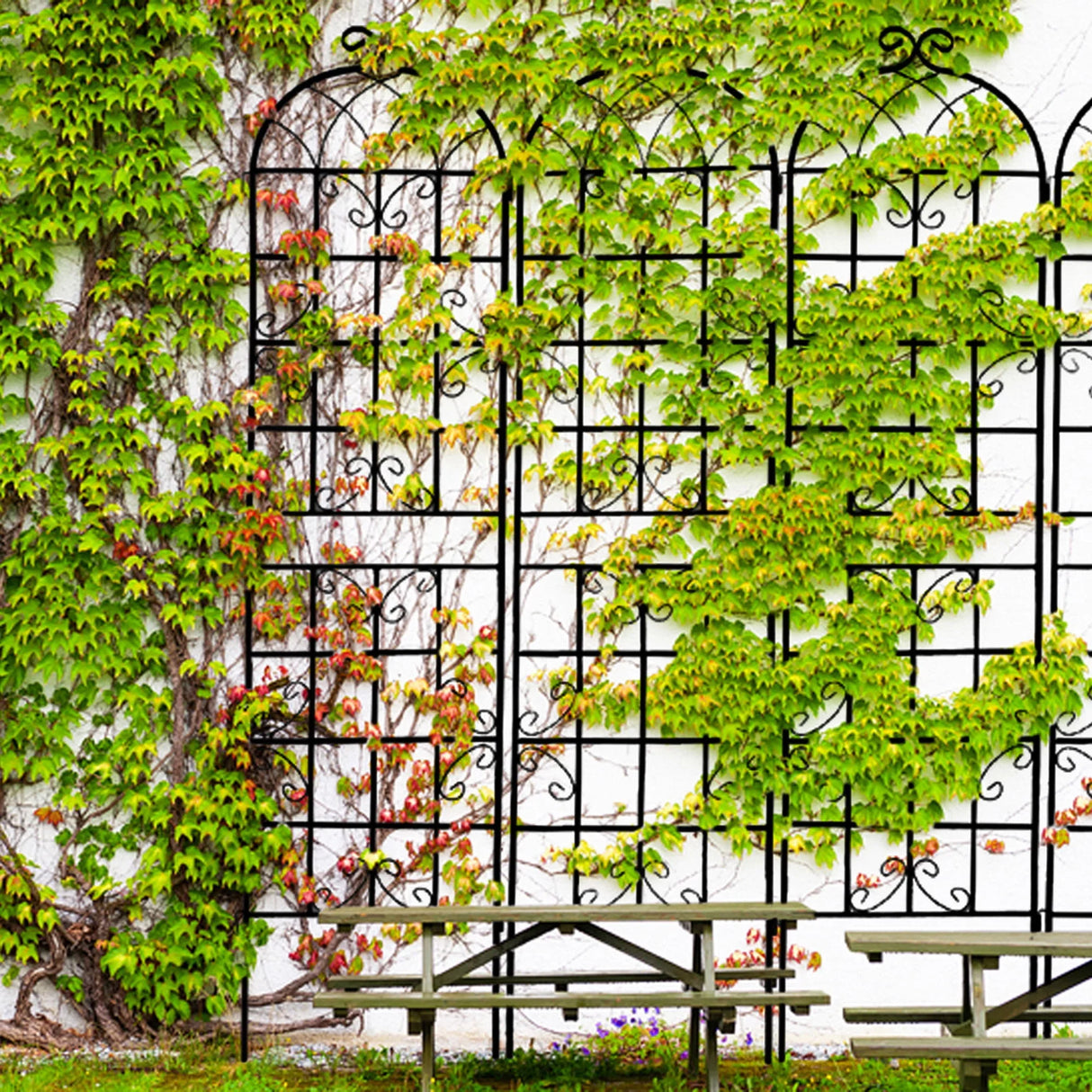 Metal Garden Rustproof Trellis For Climbing Plants Outdoor Flower Support - Furniture Home Direct