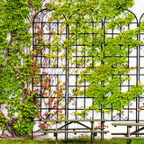 Metal Garden Rustproof Trellis For Climbing Plants Outdoor Flower Support - Furniture Home Direct