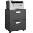 Office Furniture Copier Cabinet 2 Door Steel Copier Stand Mobile Pedestal File Printer Stand - Black - Furniture Home Direct