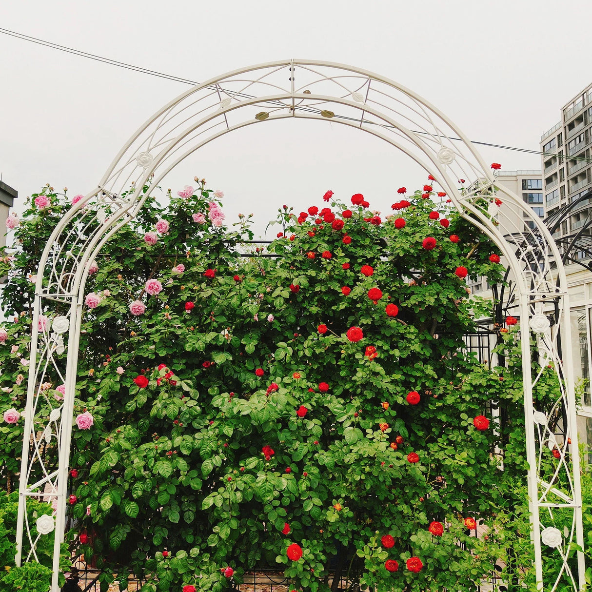 Metal Garden Arch Assemble Freely With 8 Styles Garden Arbor Trellis Climbing Plants Support Rose Arch - Furniture Home Direct