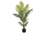 57" Tall, Artificial Plant, Palm Tree, Indoor, Faux, Fake, Floor, Greenery, Potted, Real Touch, Decorative - Green / Black - Furniture Home Direct