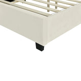 Queen Bed Upholstered Platform Tall Headboard Beige - Furniture Home Direct