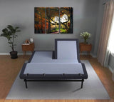 Bt3000 - Flex Head Adjustable Bed Base With Head And Foot Position Adjustment - Furniture Home Direct