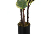 47" Tall, Artificial Plant, Oak Tree, Indoor, Faux, Fake, Floor, Greenery, Potted, Real Touch, Decorative - Green / Black - Furniture Home Direct