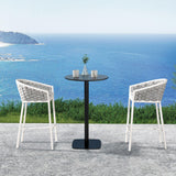 Rowan - Rope Barrel Low Back Patio Counter Stool (Set of 2) - Optic White - Furniture Home Direct