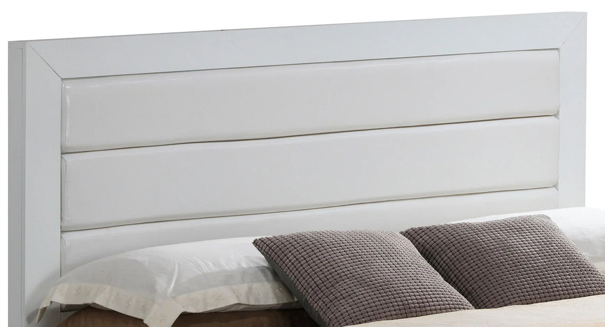 Transitional Modern Design Bed - Furniture Home Direct