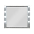 Sliverfluff - Mirror With Light - Mirrored / Champagne - Furniture Home Direct