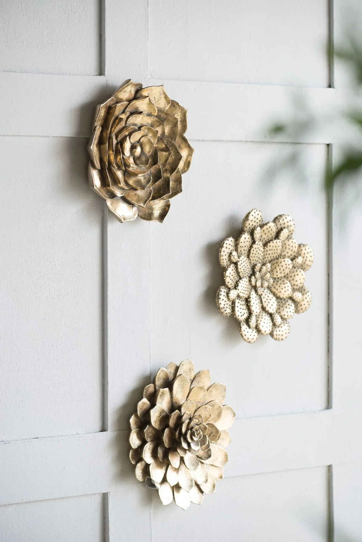 3 Piece Succulent Wall Plaque - Gold - Furniture Home Direct