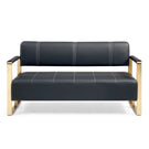 Modern Upholstery Accent Loveseat Sofa For Living Room 2 Seater With Golden Metal Arms - Furniture Home Direct