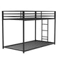 Adam - Bunk Bed - Furniture Home Direct