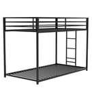 Adam - Bunk Bed - Furniture Home Direct
