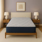 Restonic - ComfortCare DreamLux Firm - Furniture Home Direct