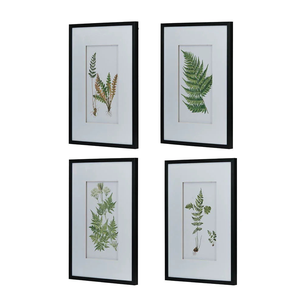 Botanical And Fern Wall Art, Wall Decor For Living Room Dining Room Entryway (Set of 4) - White / Black - Furniture Home Direct