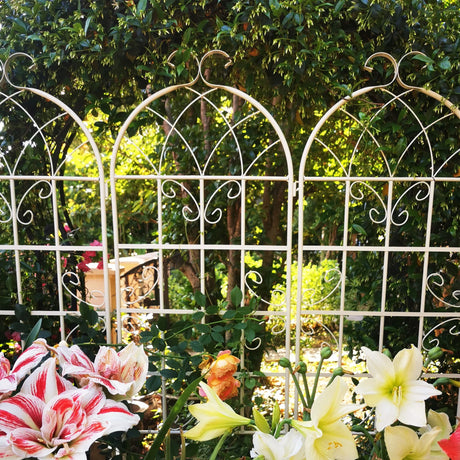 Metal Garden Rustproof Trellis For Climbing Plants Outdoor Flower Support - Furniture Home Direct