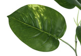 54" Tall, Artificial Plant, Dieffenbachia Tree, Indoor, Faux, Fake, Floor, Greenery, Potted, Real Touch, Decorative - Green / Black - Furniture Home Direct