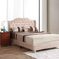Upholstered Velvet Bed Transitional - Furniture Home Direct