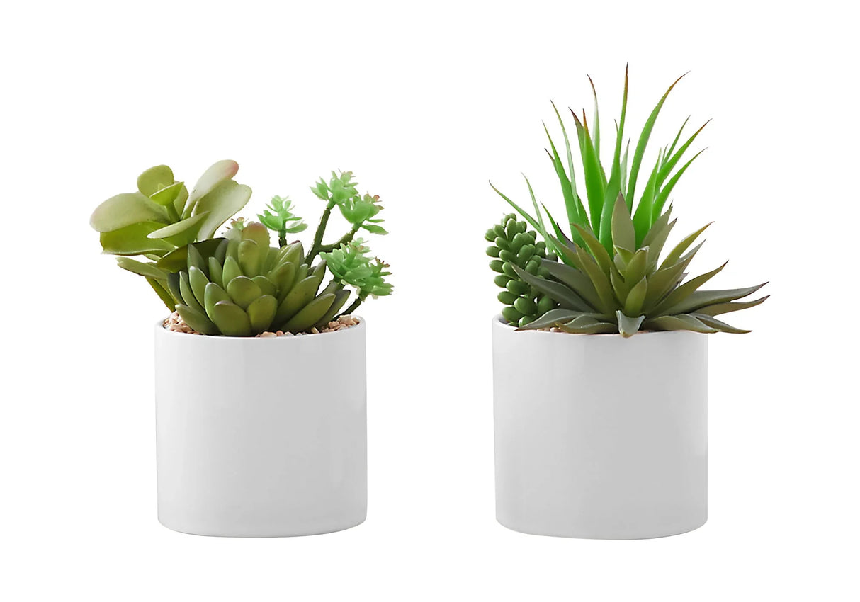7" Faux Decorative Succulent (Set of 2) - Green / White - Furniture Home Direct