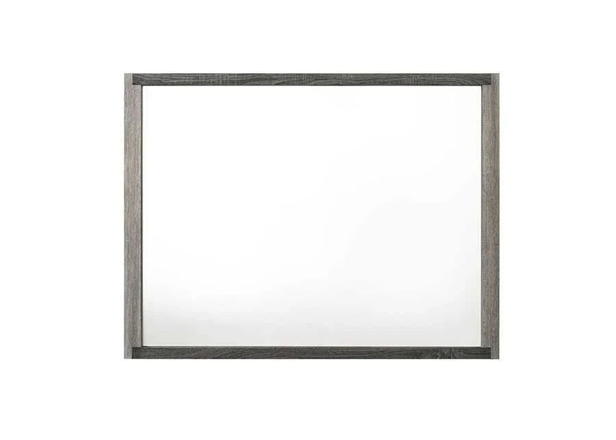 Jehoram - Mirror - Gray - Furniture Home Direct