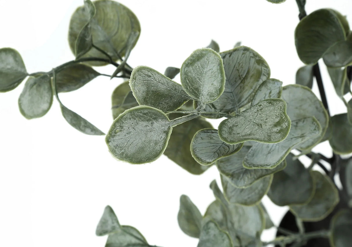 35" Tall, Artificial Plant, Eucalyptus Tree, Indoor, Faux, Fake, Floor, Greenery, Potted, Decorative - Green / Black - Furniture Home Direct