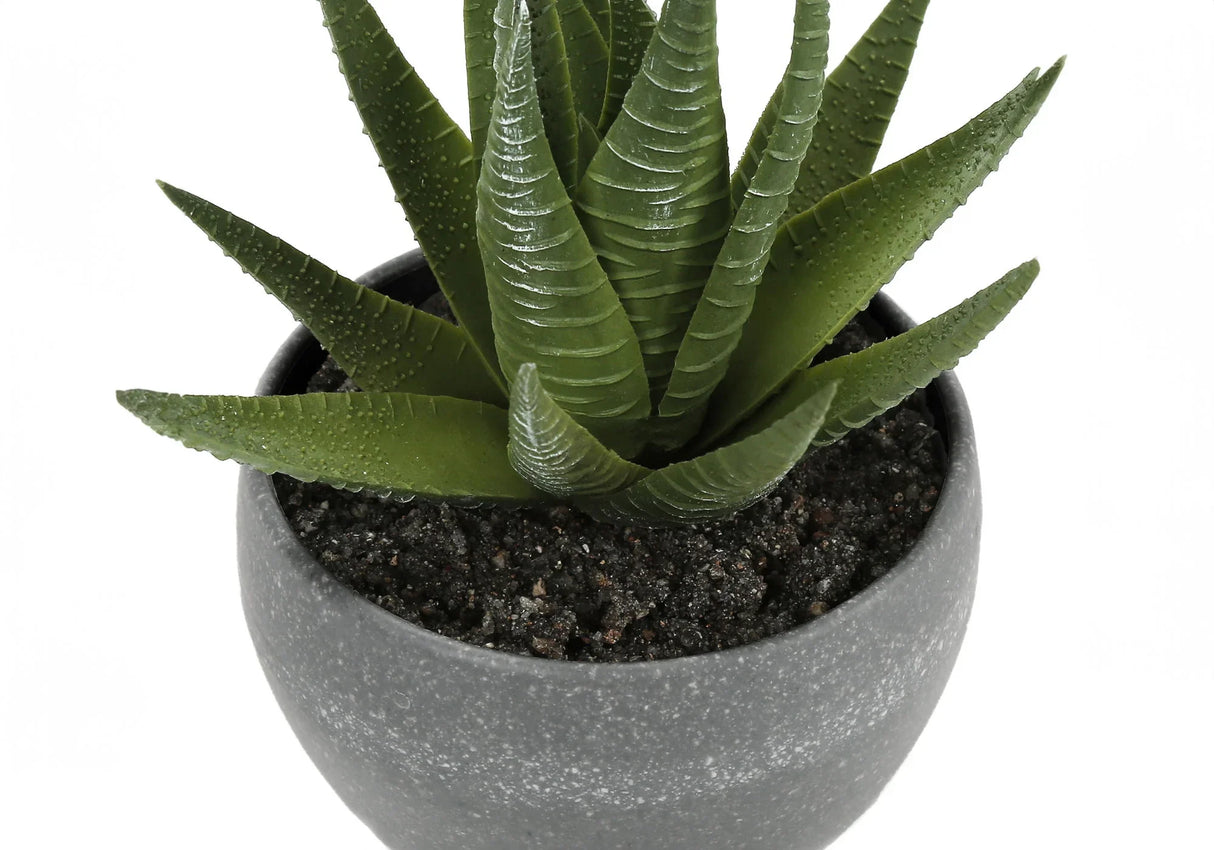 6" Tall, Artificial Plant, Succulent, Indoor, Faux, Fake, Table, Greenery, Potted, Decorative (Set of 3) - Green / Gray - Furniture Home Direct