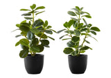 14" Tall, Artificial Plant, Ficus, Indoor, Faux, Fake, Table, Greenery, Potted, Decorative (Set of 2) - Green / Black - Furniture Home Direct