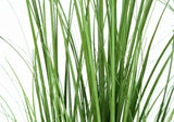 47" Tall, Artificial Plant, Grass Tree, Indoor, Faux, Fake, Floor, Greenery, Potted, Real Touch, Decorative - Green / Black - Furniture Home Direct
