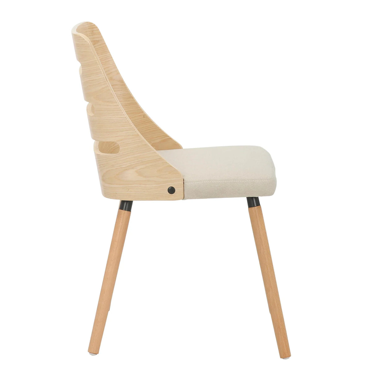 Trevi - Mid Century Modern Dining Chair - Furniture Home Direct