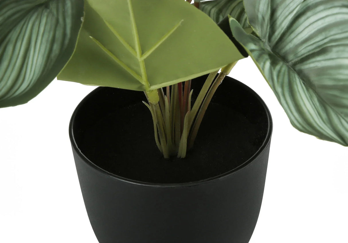 13" Tall, Artificial Plant, Epipremnum, Indoor, Faux, Fake, Table, Greenery, Potted, Decorative (Set of 2) - Green / Black - Furniture Home Direct
