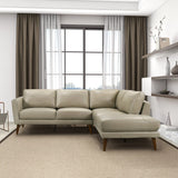 Benson - Sectional Sofa With Chaise - Furniture Home Direct