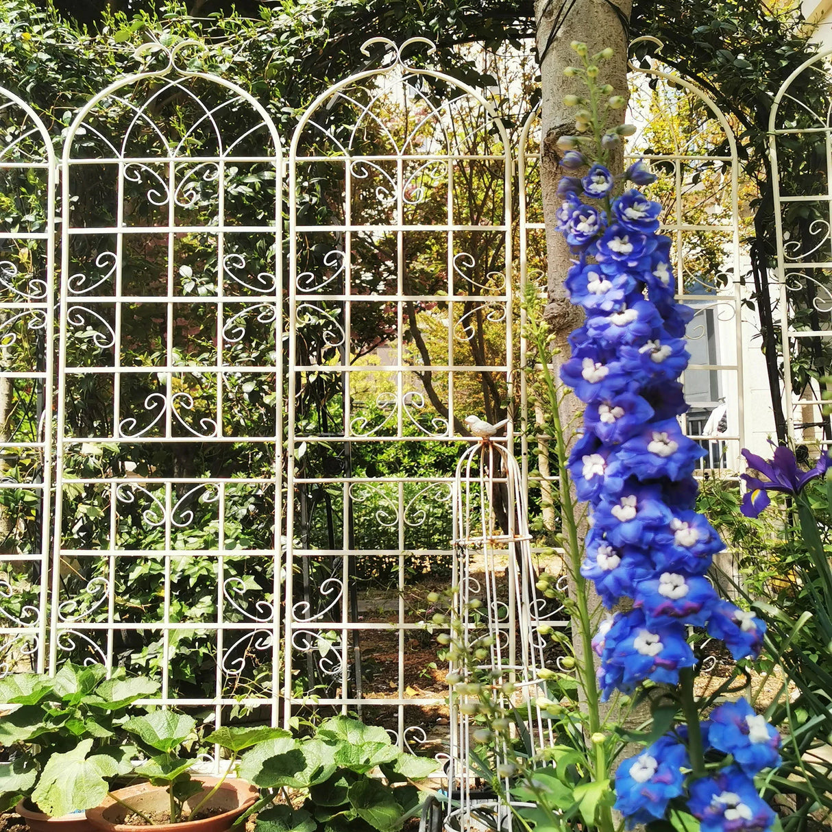 Metal Garden Rustproof Trellis For Climbing Plants Outdoor Flower Support - Furniture Home Direct