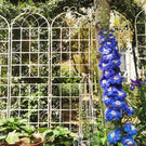 Metal Garden Rustproof Trellis For Climbing Plants Outdoor Flower Support - Furniture Home Direct