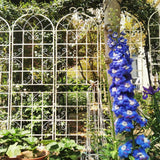 Metal Garden Rustproof Trellis For Climbing Plants Outdoor Flower Support - Furniture Home Direct
