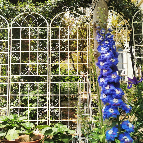 Metal Garden Rustproof Trellis For Climbing Plants Outdoor Flower Support - Furniture Home Direct